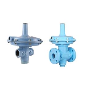 Vanaz Gas Pressure Regulator R Series